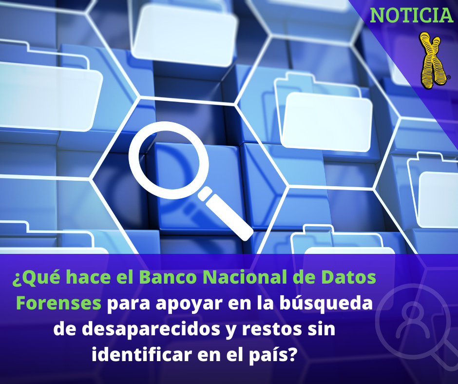 banco-nacional-de-datos-forenses