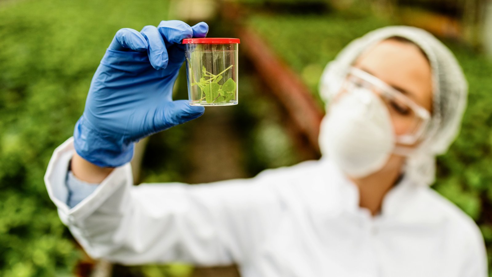 botanica-forense
