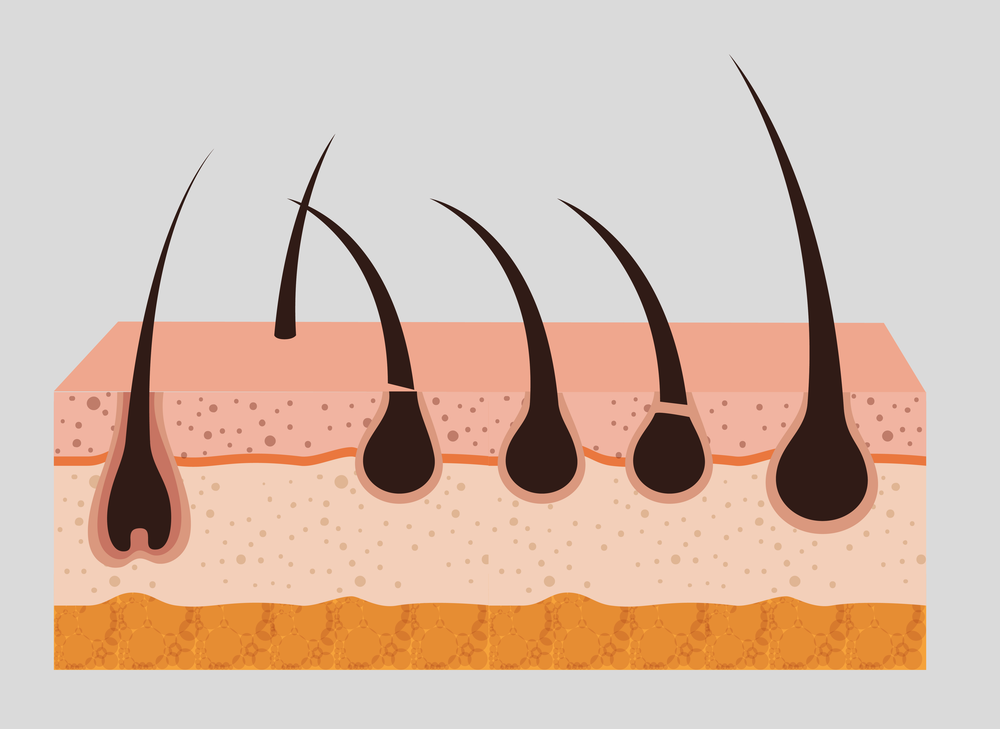 odontologia-forense-como-metodo-de-identificacion