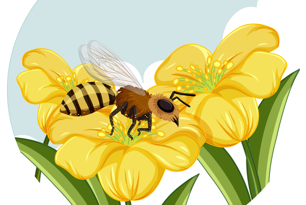 la-entomologia-forense-un-estudio-de-caso-de-syrphidae